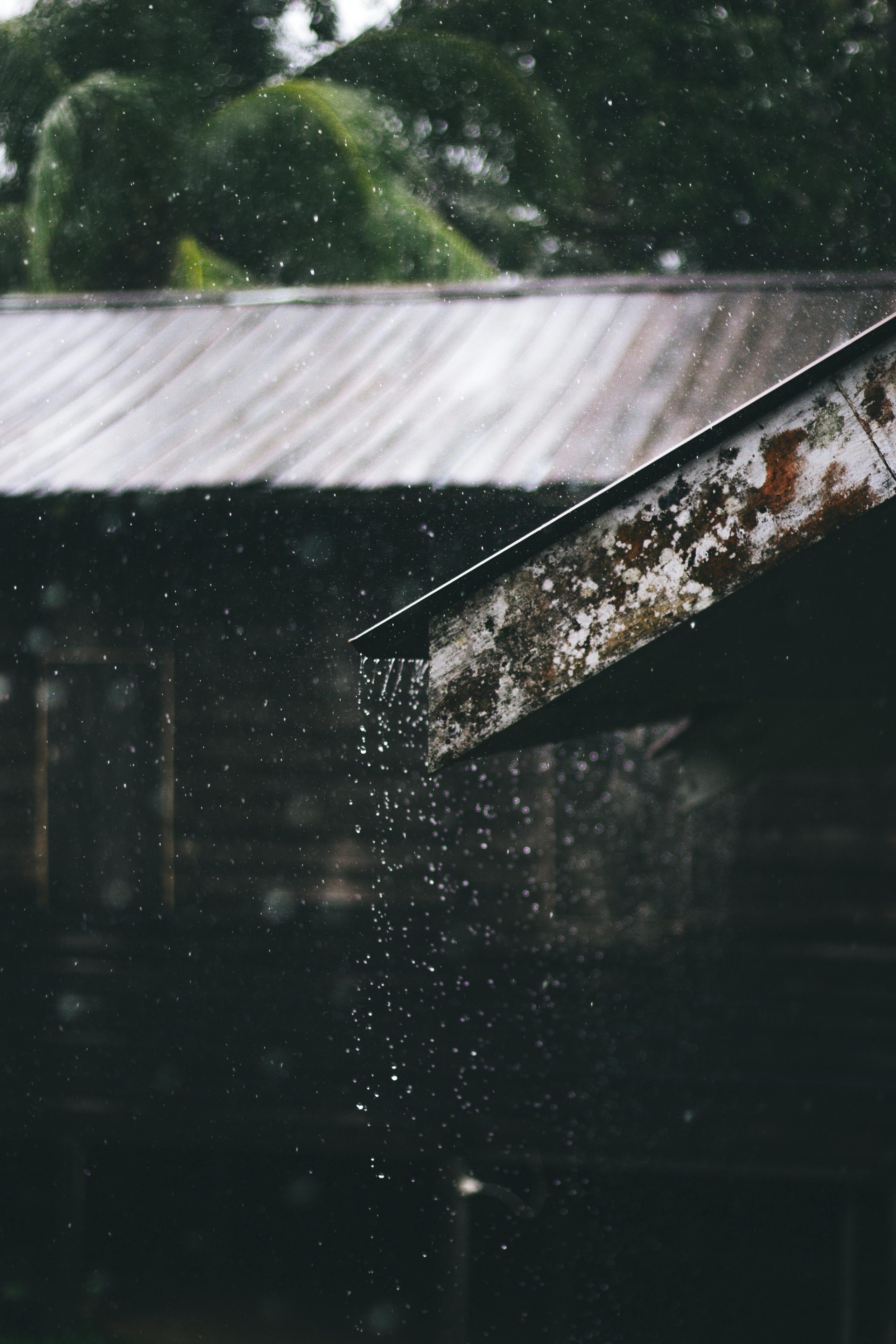 raining-weather-picture
